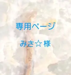 みさ☆様専用