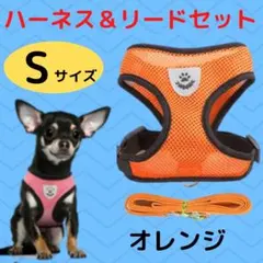 新品★ハーネス リード セット S 小型犬 愛犬 愛猫 散歩ひも 犬猫兼用