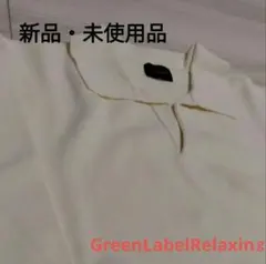 GREEN LABELRE LAXINGポロニットシャツ スキッパーネック