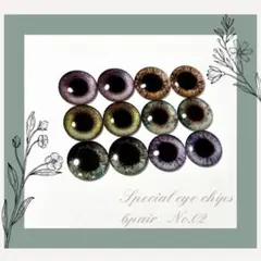 ブライス アイチップ スペシャル6pairセット【No.02】