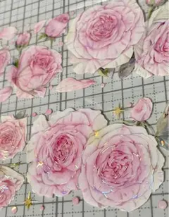 Item thumbnail for item 513a6a17-77ba-4678-a138-a627e12de46e