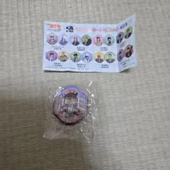 【おまとめ買いで300円→49円】名探偵コナン　マグネットシート　コナン＆千速