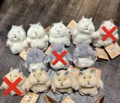 【ここな様専用】 はむにぎり ハムスター マスコット　コンプセット