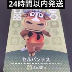 amiibo アミーボカード あつ森 amibo セルバンテス