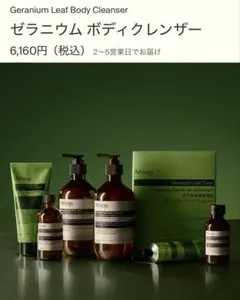 新品 Aesop ボディクレンザー、ヘアースカルプ セット 化粧水おまけ付