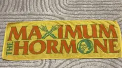 マキシマム ザ ホルモン タオル