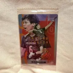 パナソニックパンサーズ　山内晶大選手　直筆　サイン入りミニボール Amazon.co.jp: パナソニックパンサーズ 山内晶大選手 グッズ