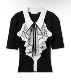 snidel ラッフル刺繍ニットプルオーバー SNIDEL ブラック