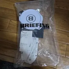 BRIEFING 氷嚢のサムネイル