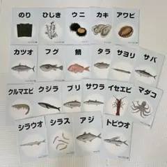 プルメリア様 リクエスト 2点 まとめ商品