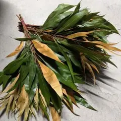 mammam ※プロフ必読様 リクエスト 3点 まとめ商品