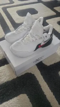 NIKE　Lebron NXXT Gen AMPD