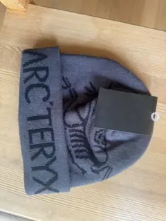 ARC'TERYX 恐竜グラフィック ニット帽