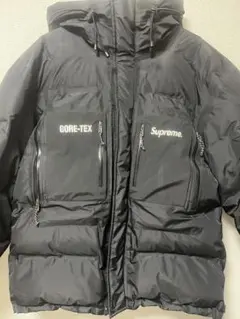 Supreme GORE-TEX 700 Fill Down Parka