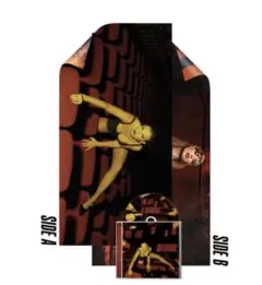 新品　tayor swift showgirl ボーナストラック入りCD 4枚 Taylor Swift最新作！ ˗ˏˋ THE LIFE OF A SHOWGIRL ˎˊ˗ 遂に