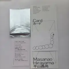 美品★平山昌尚Masanao Hirayama NEW HORIZON カード