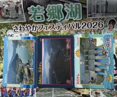 大町ダム 竣工40周年記念カード コンプリートセット - メルカリ