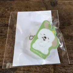 RIIZE ランダムトイ マグネットアクリルチャーム アントン(R・右)