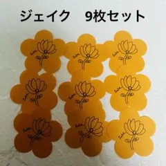 ジェイク　オレンジフラワー