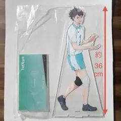 2026年最新】及川徹 アクリルスタンドの人気アイテム - メルカリ