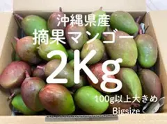 沖縄県産摘果マンゴー 100g以上 箱込み計2Kg green mangoのサムネイル