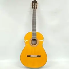 2025年最新】guitar tamuraの人気アイテム - メルカリ