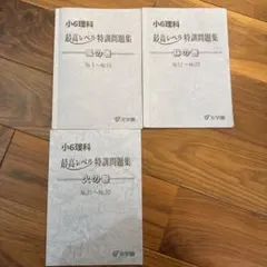 2026年最新】浜学園 小6 最高レベル特訓 テキストの人気アイテム