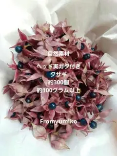 ドライフラワー.自然素材.実ガク付きクサギ約300個以上.約100グラム以上
