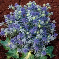 まあま様 リクエスト 3点 まとめ商品