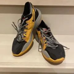 NIKE Zoom Freak 2 ヤニス　イエロー 23.5cm