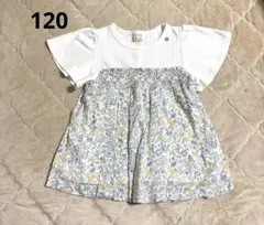 プチマイン　120 半袖