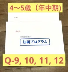 知研BOX 知研プログラム Q-9期 10期 11期 12期 - メルカリ