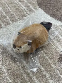 2025年最新】SUPERBEAVER×吉徳の人気アイテム - メルカリ