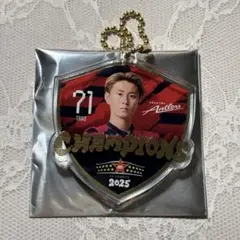 2026年最新】鹿島アントラーズ の人気アイテム - メルカリ