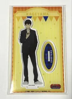 ハイキュー 及川徹 百鬼夜行 ナンジャタウン 缶バッジ - メルカリ