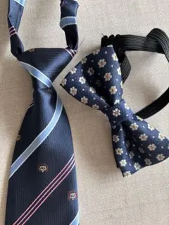 Item thumbnail for item 05ffc66c-f0ae-41b2-a9f2-4832b554393a