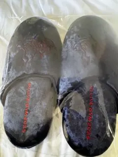 B'z FYOP ルームスリッパ　レッド　L