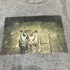 激レア fucking awesome Jason Dill フォトT XLのサムネイル