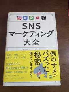 snsマーケティング