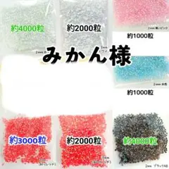 みかん様・専用