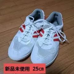 体育館シューズ　25cmのサムネイル