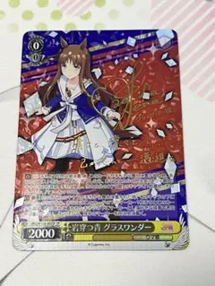 sp ヴァイスシュヴァルツ