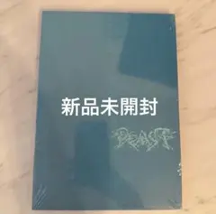 新品未開封　ALD1 少年BEAST Cementic Nest Ver