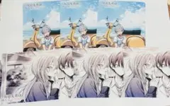灰宮先輩は怖くてかわいい　アニメイト　特典　リバーシブルビジュアルボード　６枚のサムネイル