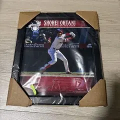 大谷翔平 2018 新人王 限定200枚 ボール断片付フォトフレーム 新品未開封 200枚限定】大谷翔平 2018 新人王記念フォトフレーム 実使用ボール断片