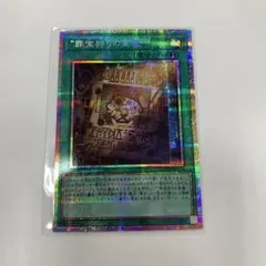 2026年最新】“罪宝狩りの悪魔” プリズマの人気アイテム - メルカリ