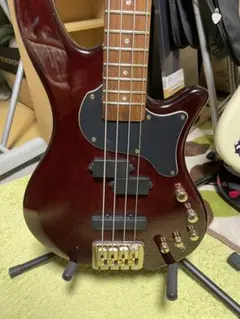 Epiphone Thunderbird ケースなし 経年劣化 - メルカリ