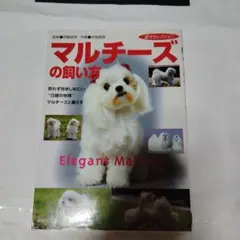 （捺印跡有り）マルチーズの飼い方