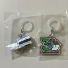 めじるしアクセサリー