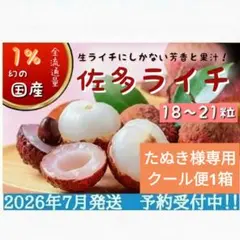 2026年最新】生ライチ 国産の人気アイテム - メルカリ